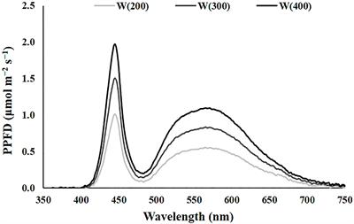 Different LED light intensity and quality change perennial ryegrass (Lolium perenne L.) physiological and growth responses and water and energy consumption